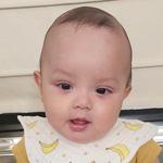 WQ847K: น้องเบนจี้
