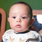 WQ847K: น้องเบนจี้